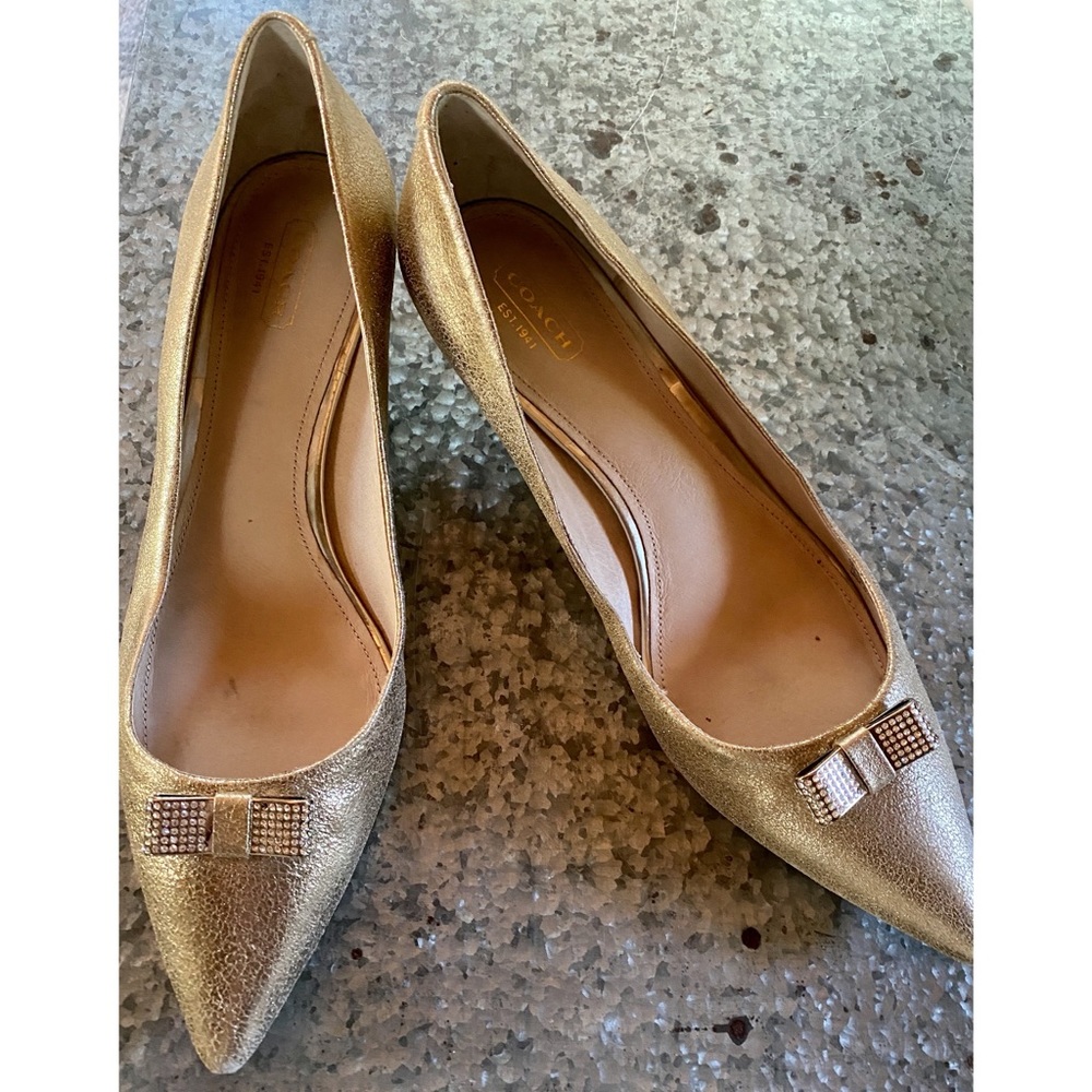 Coach Monroe Platinum Brushed Metallic Pump - 10B